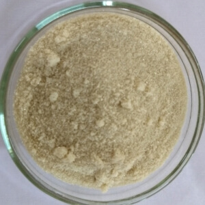 4B Acid
